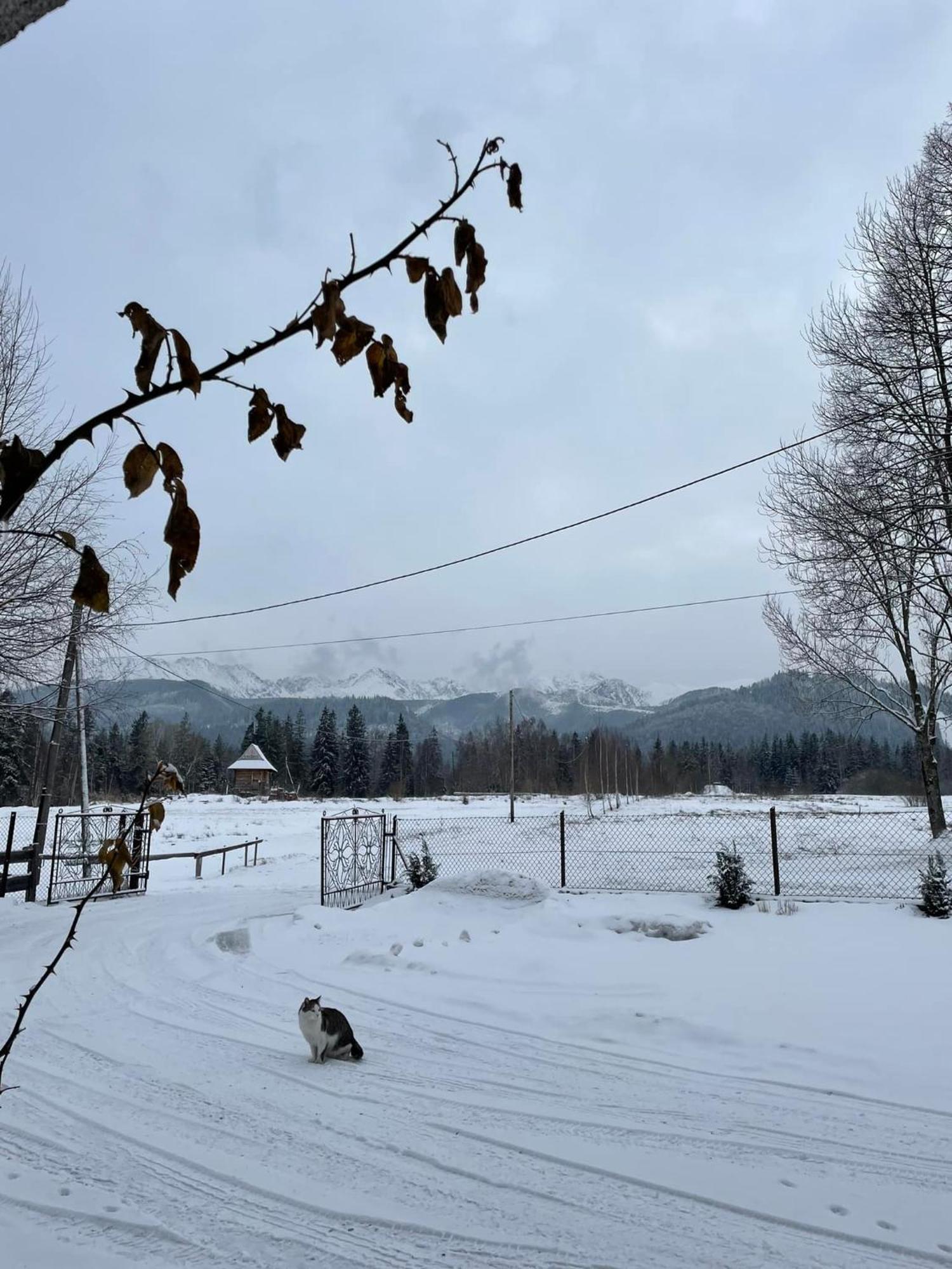 Pensjonat U Doroty, Zakopane - Twoje Miejsce W Gorach Ngoại thất bức ảnh