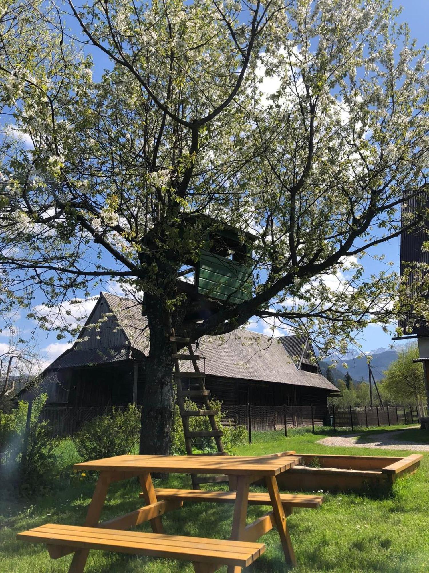 Pensjonat U Doroty, Zakopane - Twoje Miejsce W Gorach Ngoại thất bức ảnh